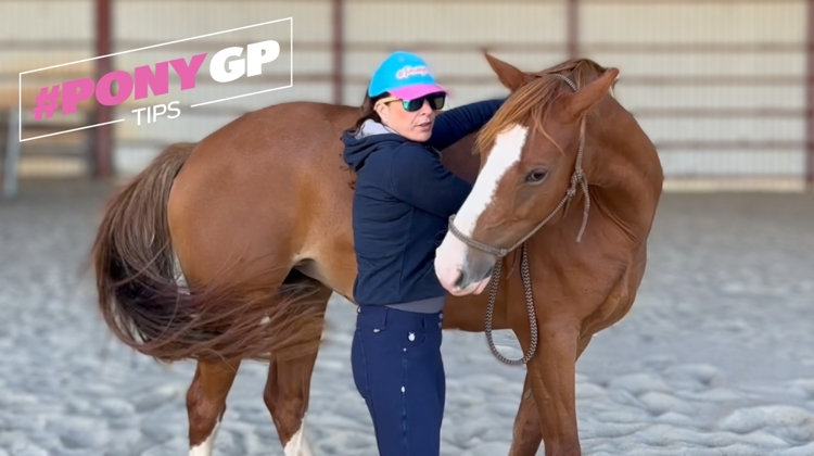 Apprendre à son cheval la flexion latérale d'encolure, avec Stéphanie de PonyCorn