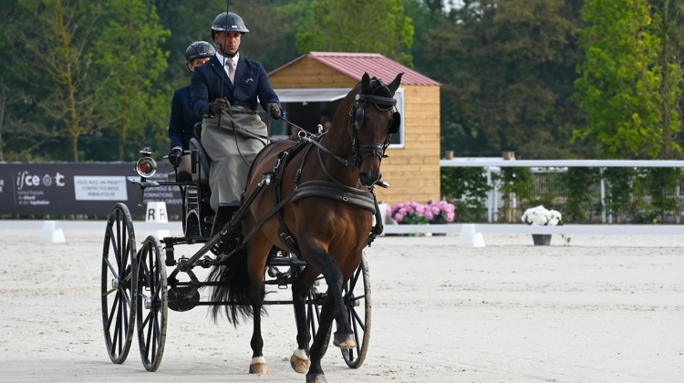 Tony Écalle et Kensington ont décroché l'or par équipes le week-end dernier au Pin-au-Haras, dans l’Orne.