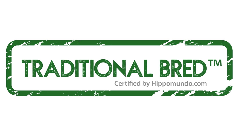 Eerste veulen met traditional bred label