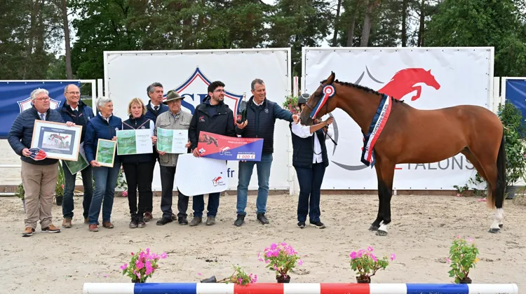 Nanaricci des Treizes est ici en entourée des naisseurs ou engageurs primés dans le championnat des deux ans, ainsi que du président du jury et des présidents du Selle Français, Pascal Cadiou (à gauche) et de la Société hippique française, Michel Guiot (à droite).