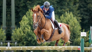 Dubaï du Cèdre, troisième équidé le mieux classé de la hiérarchie des chevaux de jumping réalisée par la WBFSH, a porté haut le stud-book Selle Français.