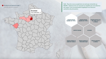 Au 2 décembre, on comptabilise trois foyers dans l’Essonne, deux foyers dans les Hauts-de-Seine, un dans les Yvelines, un dans l’Eure-et-Loir, un en Loire-Atlantique et un dans l’Orne. 
