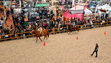 Plus de 24.000 visiteurs ont fréquenté les allées du Salon du cheval d’Angers.