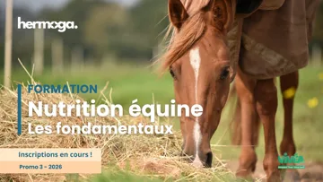 Donner aux professionnels les clés de la nutrition équine