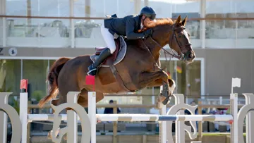 Cet après-midi dans le Var, Easy Up de Grandry et Julien Épaillard ont remporté la qualificative à 1,45m du CSI 2* de Gassin, signant le plus rapide des dix-huit sans-faute.