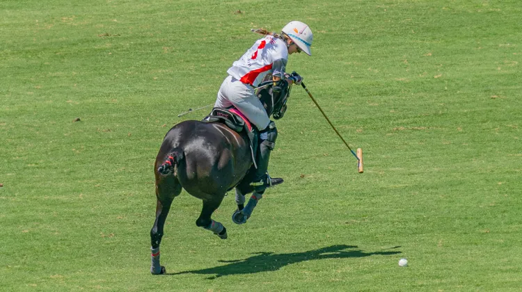 L’Américaine Hope Arellano, deux fois couronnée à Palermo, retrouvera Chantilly un an après le France-États-Unis qu’elle avait égaleemnt remporté. 