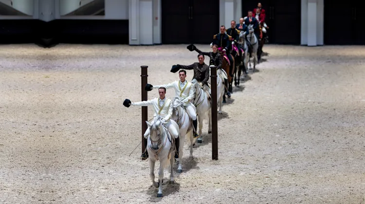 Pour la première fois de l’histoire, les cinq écoles classiques d’équitation, établies en Autriche, Espagne, Portugal, France et maintenant aux Émirats arabes unis se sont réunies pour l’ouverture d’ADREA.