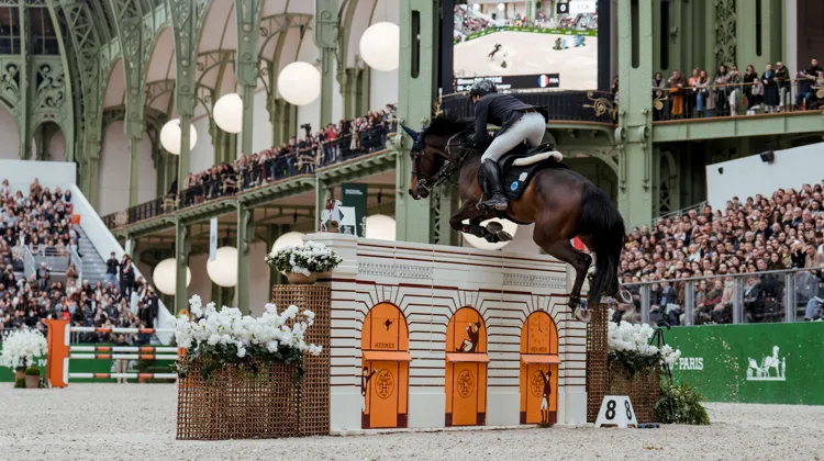 L’an passé, Simon Delestre, associé à Cayman Jolly Jumper, avait remporté le Grand Prix Hermès pour la troisième fois de sa carrière.