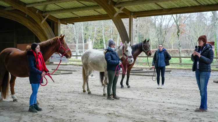 Olivia Kopp, enseignante d’équitation western, a animé un atelier consacré au mountain trail, activité considérée comme particulièrement adaptée au public adulte.