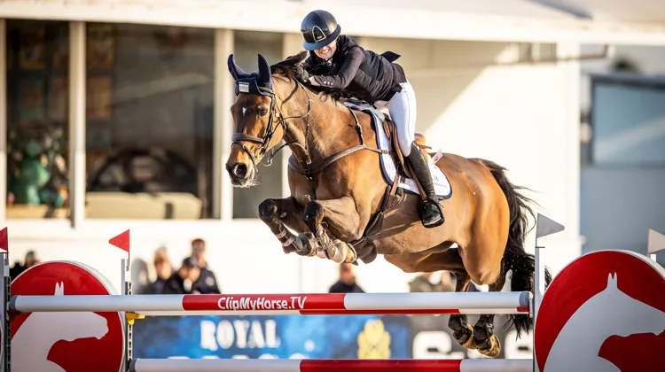 Avec Marta Hughes-Bravo, l’excellent HHS Figero vit une très belle fin de carrière.