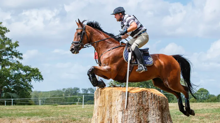 La FFE s’est notamment engagée à soutenir les organisateurs de concours complets.