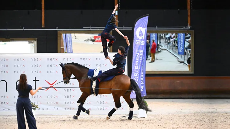 Noély Thibaudat et Théo Gardies ont livré une prestation brillante ce soir au Cadre noir.