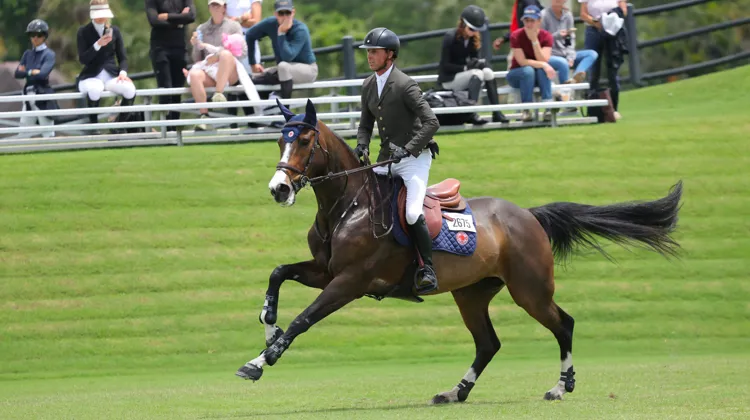 Ici à Wellington, Ben Maher et Ginger-Blue ont engrangé une nouvelle victoire cet après-midi à Saint-Gall.