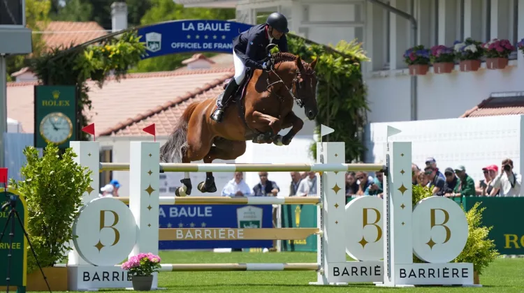 Hitot de Riverland a participé au CSIO 5* de La Baule pour la première fois le week-end passé.