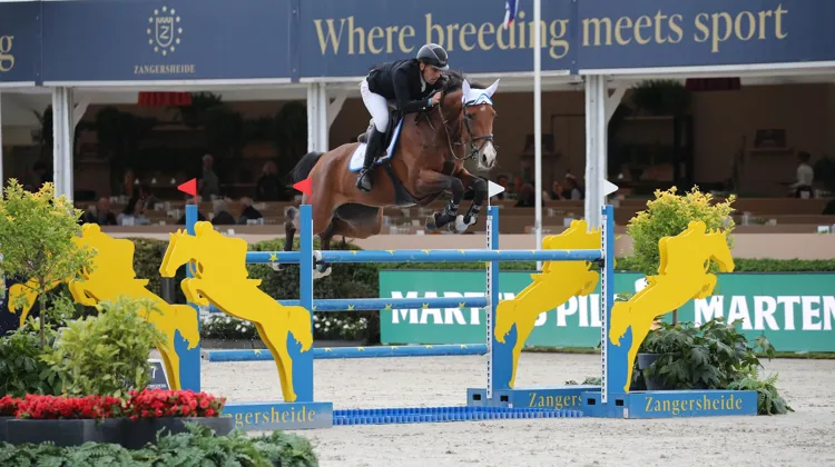 Candy Crack G, née chez Emanuele Gaudiano, a remporté la première qualificative des chevaux de sept ans aujourd'hui aux Mondiaux des Jeunes Chevaux de Lanaken.