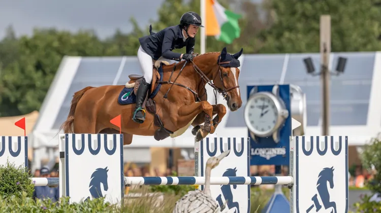 Fils d’Emerald, Easy Peasy Indebus a remporté le titre mondial des chevaux de six ans aujourd’hui à Lanaken.