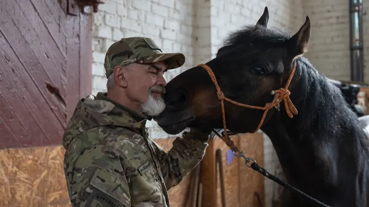 Ivan, un vétéran de 61 ans, établit un contact avec le cheval dans le cadre du programme d’équithérapie Spirit Warrior. Le premier contact avec le cheval, souvent à travers l'observation, favorise la création d'un lien de confiance et constitue une première expérience de communication non verbale avec l'animal. Kiev, le 21 avril 2026.