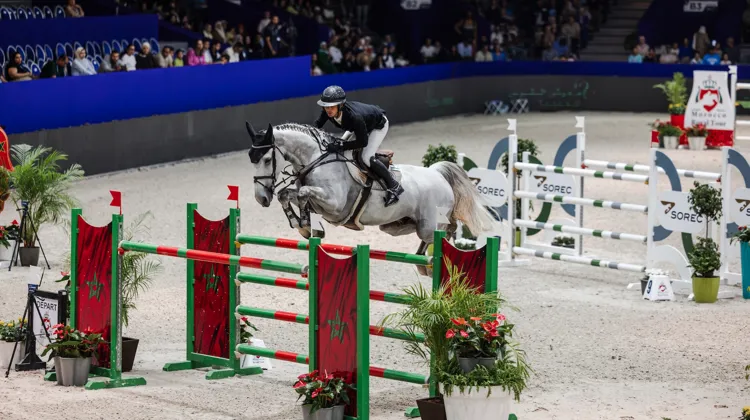 Avec Haristo du Gué, Arthur le Vot a participé à son cinquième CSI 5* à El Jadida.