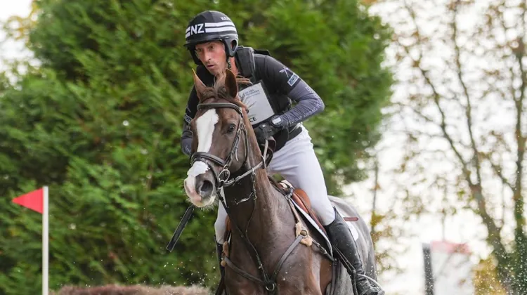 Avec Jarillo, Tim Price occupe la tête du CCI 5*-L de Pau. 