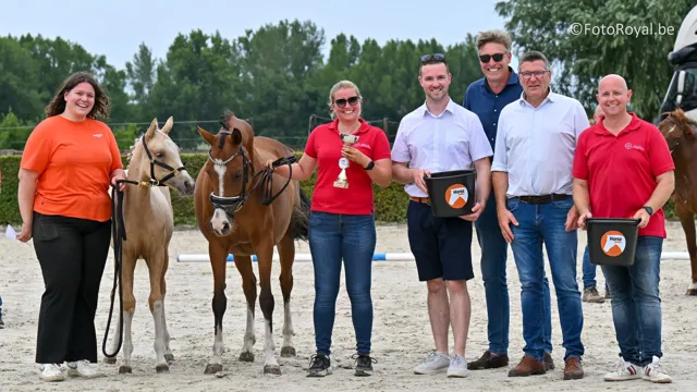 Nationaal BWP voorzitter Geert Helsen kwam mee de prijzen overhandigen in de reeks ponyveulens grote maat