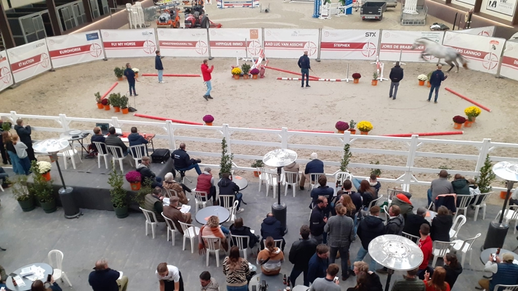 Vrijspringen Meerdonk