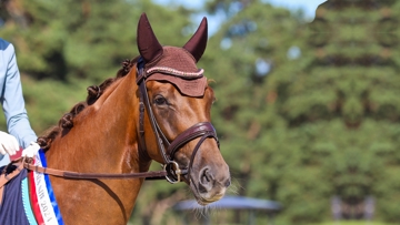 Furstin Toto LH (Han, Fürst Toto LH x Ampere), née chez Jean-Claude Ferrand en Mayenne, a créé la sensation chez les quatre ans en obtenant le score historique de 96% sous la selle de Charlotte Chalvignac.