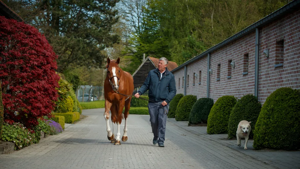 Emerald ziet zes zonen doorgaan naar de tweede bezichtiging
