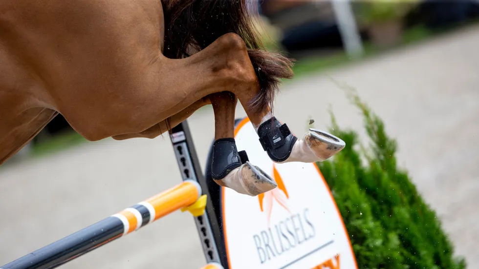 Nieuwe overwinning voor Dalina