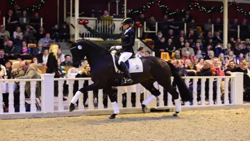 Fasine war der Star in der Dressurkollektion der P.S.I. Auktion 2015
