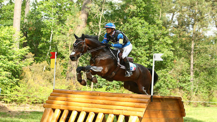 Démonstration sur le cross de Saumur pour Mathieu Lemoine et Bart L (@P Chevalier)