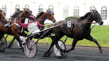 Ready Cash, vainqueur du Grand Prix d'Amérique 2012 avec Franck Nivard.