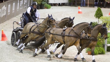 Le redoutable Boyd Exell remporte la finale de Bordeaux 2012  crédit FEI