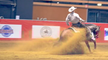 Cédric Guerreiro et Smart Fury ont laissé une très belle impression au jury et au public d'Equita' Lyon. Photo Marie Lyan