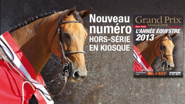 Revivez l'année 2013 en cent-soixante pages. Photo couverture Scoopdyga
