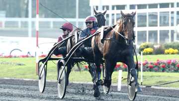 L'année dernière, c'est Royal Dream, un autre crack qui a remporté le Prix. Photo Scoopdyga