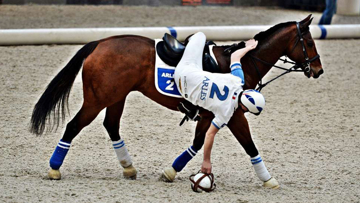 les équipes de Hose ball se retrouvent à Saint-Lô ce week-end pour le championnat Pro Élite. Photo JuNiThi