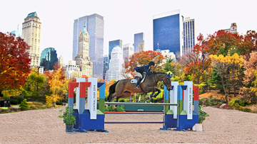 Des chevaux à Central Park ? Enthousiasmant projet. Photo DR