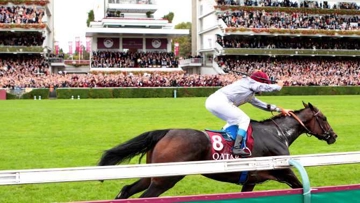 Treve a terminé sa carrière de galopeuse en apothéose, cet après-midi à Longchamp. Photo Scoopdyga