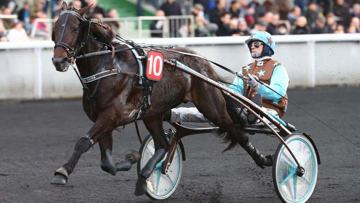 Up and Quick et son driver Jean-Michel Bazire, lors du Prix de Belgique sur l'hippodrome de Vincennes, le 11 janvier dernier. Photo Scoopdyga