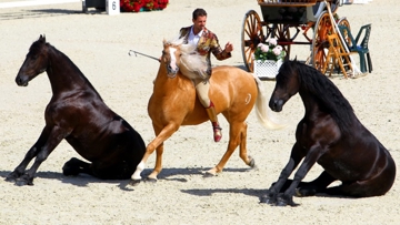 Santi Serra a notamment fait sensation lors de la finale de la Coupe des nations de Barcelone, en septembre dernier. Photo Scoopdyga (archives)