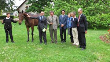 Un label a été créé pour le cheval de Vendée. Ph. Damien Kilani.