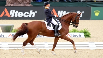 Adelinde Cornelissen est une nouvelle fois présente dans l?équipe néerlandaise. Avec Parzival, elle tentera de mener une nouvelle fois son pays à la victoire. Photo Scoopdyga