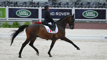 La France pointe à la dixième position des Jeux équestres mondiaux en para-dressage grâce notamment à Vladimir Vinchon et Rockford 17. Photo PSV Morel