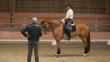 Quatre cavaliers, dont Jean-Philippe Siat, ont permis d'illustrer les propos de Jan Bemelmans. Photo Frédérique Monnier