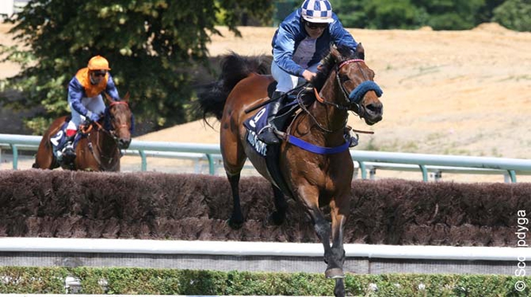 Mid Dancer, vainqueur à Auteuil.
