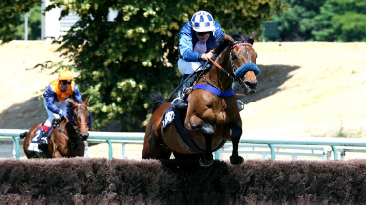 Mid Dancer, comptant parmi les favoris du Grand Steeple Chase de Paris, a déjà remporté trois fois cette course, en 2007, 2011 et 2012. Crédit Scoopdyga