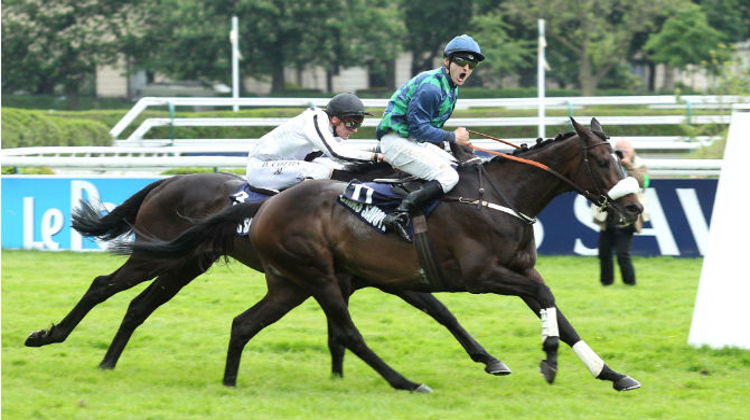 Bel La Vie coiffe au poteau le crack Shannon Rock lors de l'édition 2013 du célèbre Grand Steeple Chase de Paris. © Scoopdyga