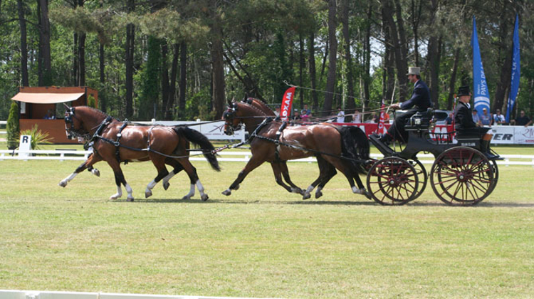 L'Américain Chester Weber et son équipe sont vainqueurs de l'épreuve à quatre chevaux. Crédit Patrick Crasnier