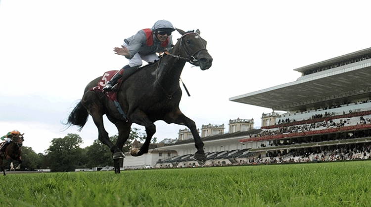 Trève ici au Qatar Prix Vermeille avec Lanfranco Dettori, est l'une des favorites au Prix de l'Arc de Triomphe. Photo Scoopdyga
