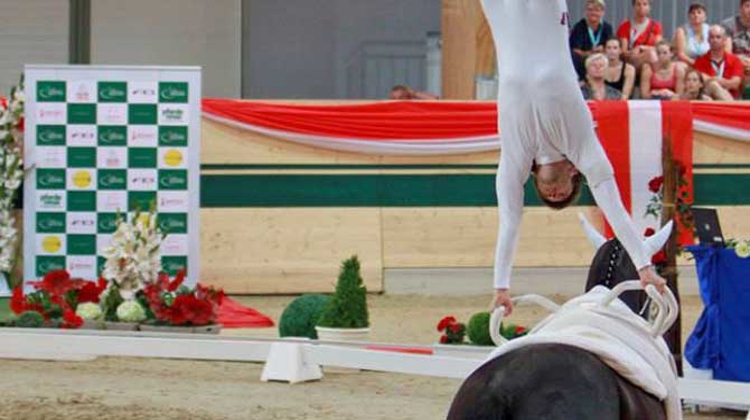 Rémy Hombecq lors du programme imposé aux championnats d'Europe 2013
